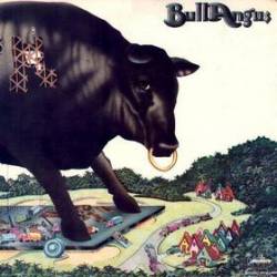 Bull Angus : Bull Angus
